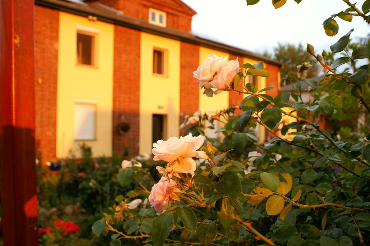 Ferienwohnungen Amselweg Brandenburg  المظهر الخارجي الصورة